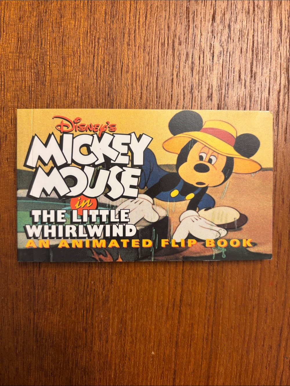 Disney's Mickey Mouse in the Little Whirlwind - Animated Flip Book (Paperback)